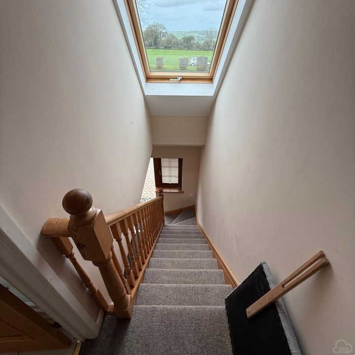 Gallery 7